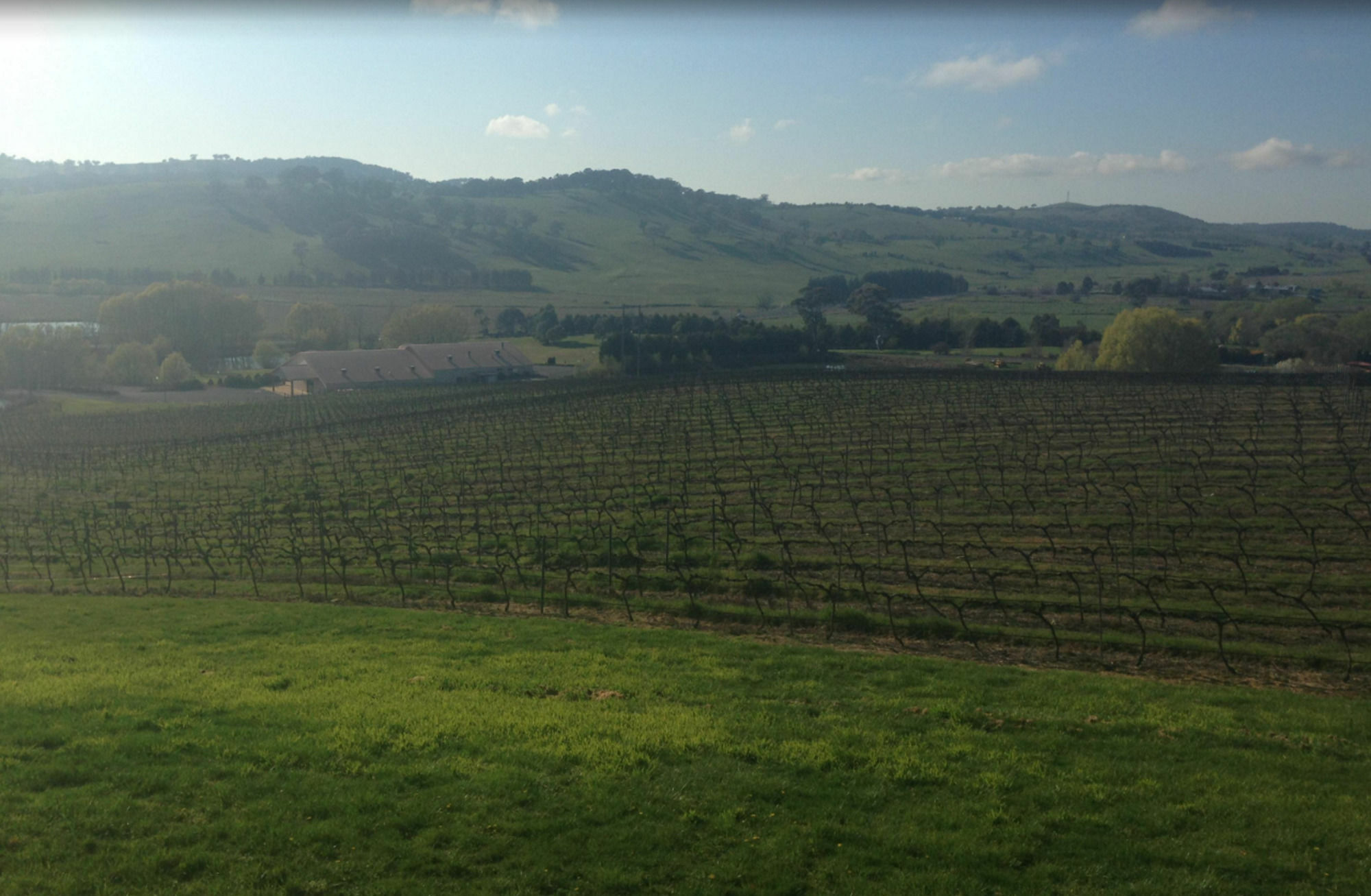 Turners Vineyard Motel Orange Ngoại thất bức ảnh