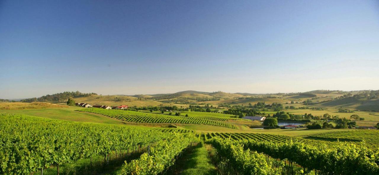 Turners Vineyard Motel Orange Ngoại thất bức ảnh